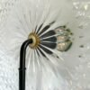Gong Series; Nuri